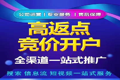 SEM外包助力企业海外市场拓展案例